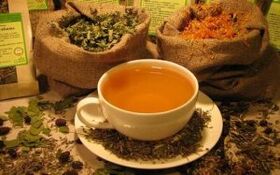 Herba untuk rawatan osteochondrosis leher